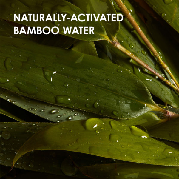 Wedo Global Launch eRetail Ingredients bambu