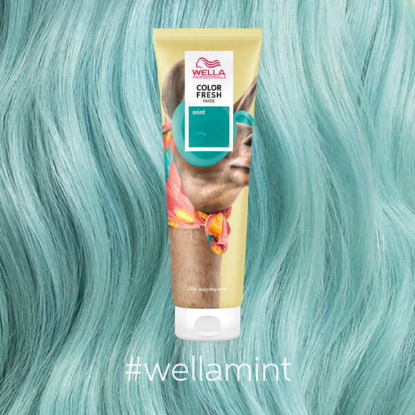 Color Fresh Mask Mint