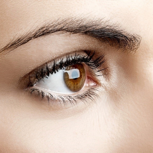 LASH AND BROW TINTING NEAR YOU LASH AND BROW TINTING NEAR YOU