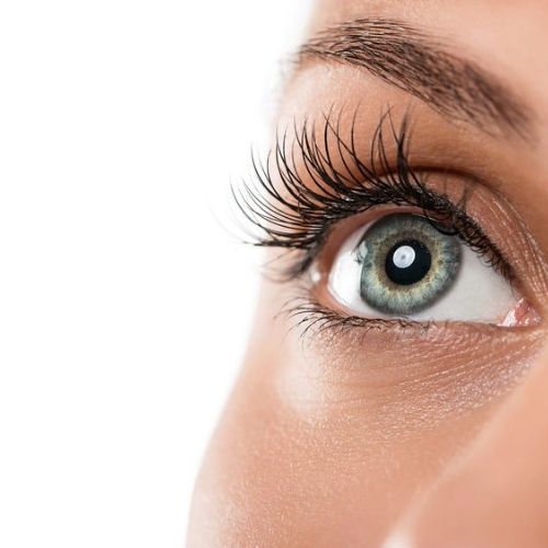 LVL LASH LIFT NEAR ME LVL LASH LIFT NEAR ME